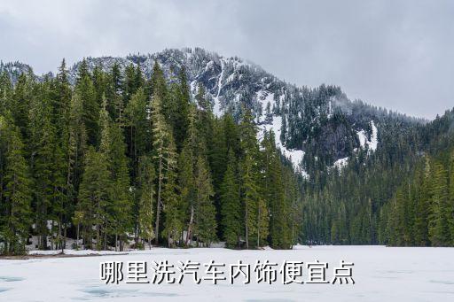 哪里洗汽车内饰便宜点