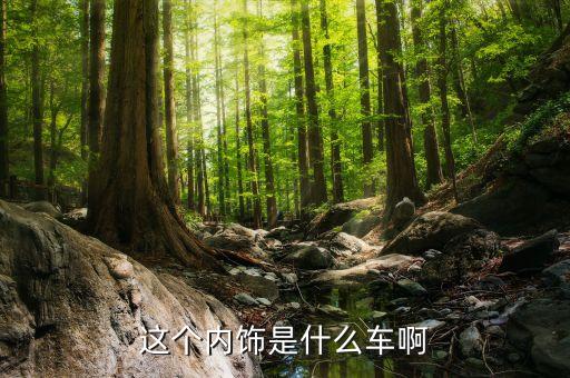 这个内饰是什么车啊
