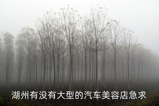 湖州有没有大型的汽车美容店急求