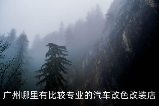 广州哪里有比较专业的汽车改色改装店