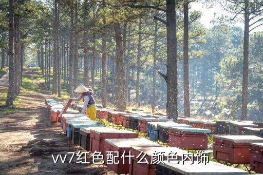 vv7红色配什么颜色内饰