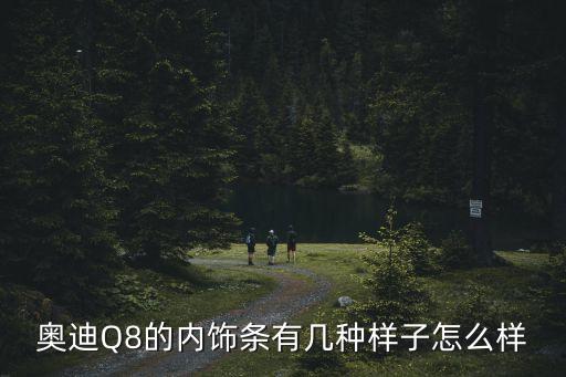 汽车棕色内饰装饰条叫什么，2008岩石棕色车内装饰该怎么搭配好看