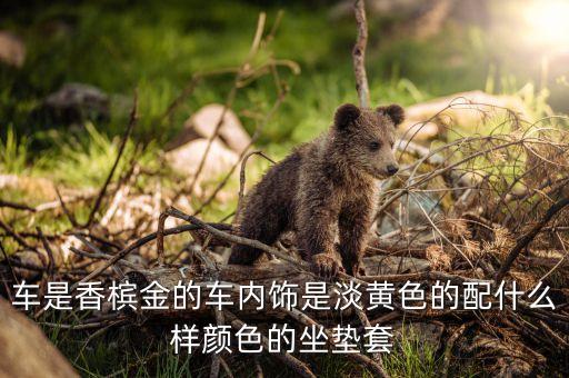 车是香槟金的车内饰是淡黄色的配什么样颜色的坐垫套