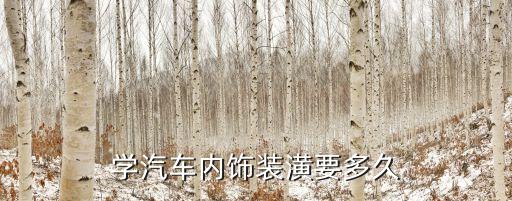 学汽车内饰装潢要多久