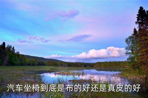 汽车皮内饰和布哪个好，小车车门内边是皮的好还是布的好