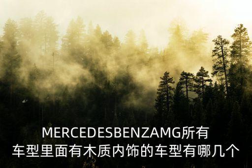 MERCEDESBENZAMG所有车型里面有木质内饰的车型有哪几个