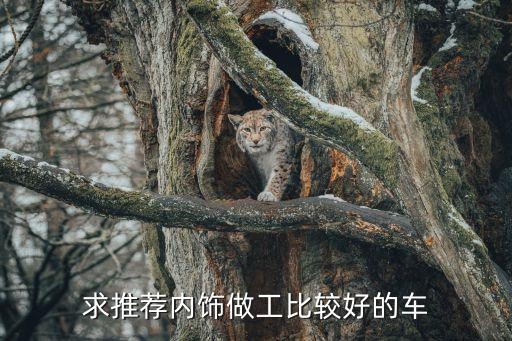 求推荐内饰做工比较好的车