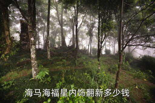 海马海福星内饰翻新多少钱