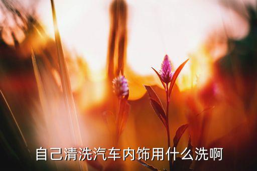 自己清洗汽车内饰用什么洗啊
