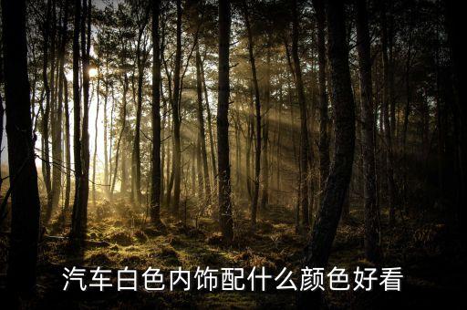 汽车白色内饰配什么颜色好看