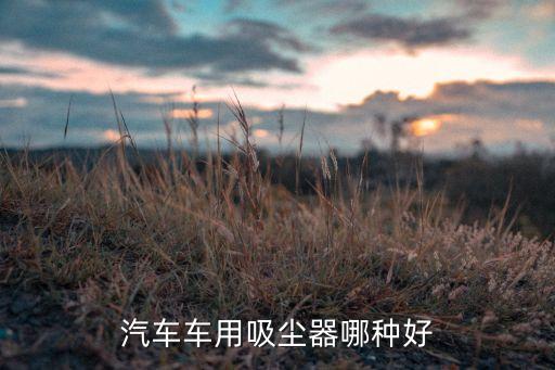 汽车车用吸尘器哪种好