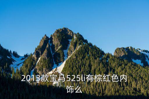 2013款宝马525li有棕红色内饰么
