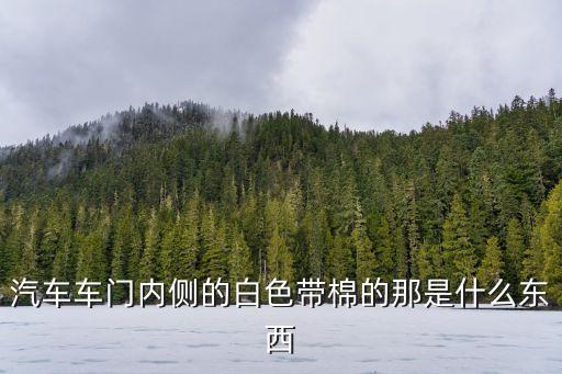 汽车车门内侧的白色带棉的那是什么东西