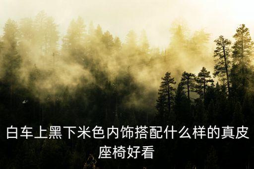 汽车座椅配什么内饰好，搭黑色内饰还是棕色好