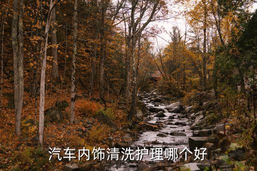 汽车内饰清洗护理哪个好