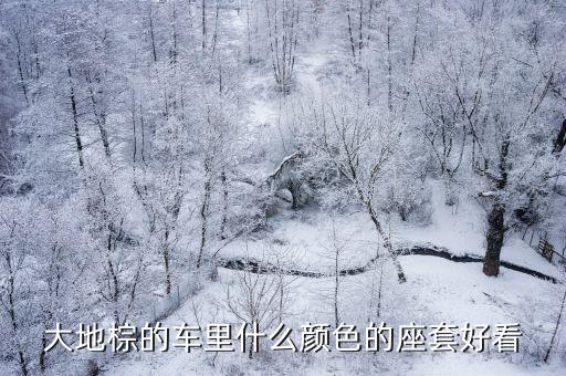 汽车棕色内饰配什么色座套，棕色车子坐垫套配什么颜色啊