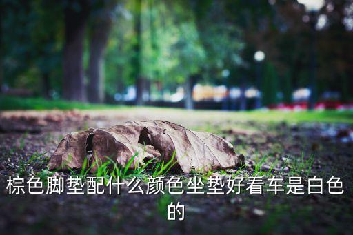 棕色脚垫配什么颜色坐垫好看车是白色的