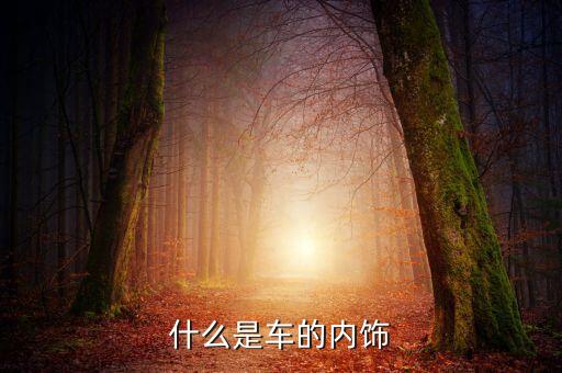 什么是汽车全包内饰图片，车内饰这个是什么图