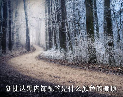 新捷达黑内饰配的是什么颜色的棚顶