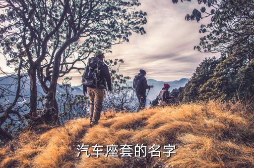 汽车座套的名字