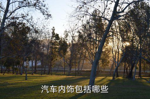 汽车哪些内饰，汽车内饰包括哪些