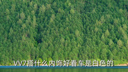 汽车中配什么内饰好，车内装饰最好选什么
