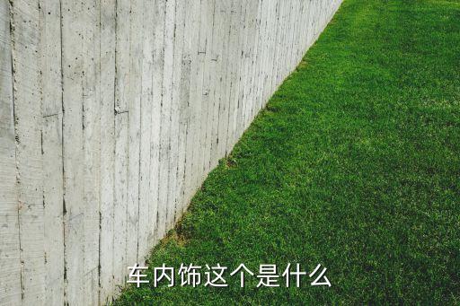 车内饰这个是什么
