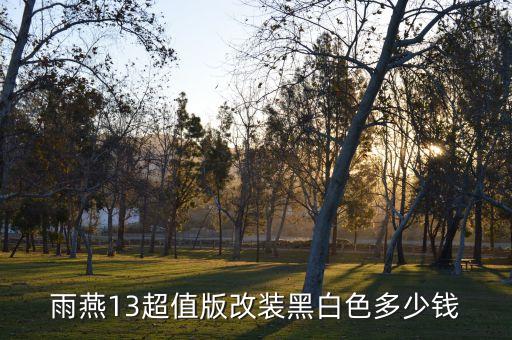 雨燕13超值版改装黑白色多少钱
