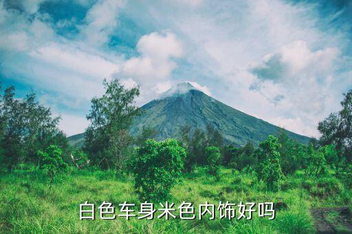 白色车身米色内饰好吗