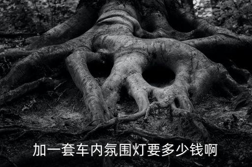 汽车加内饰灯多少钱，加一套车内氛围灯要多少钱啊