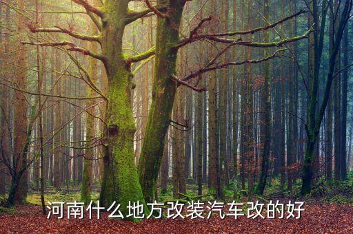林州内饰改装汽车厂在哪里，河南什么地方改装汽车改的好