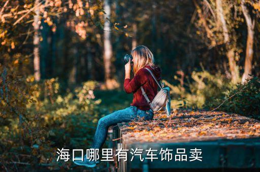 海口哪里有汽车饰品卖