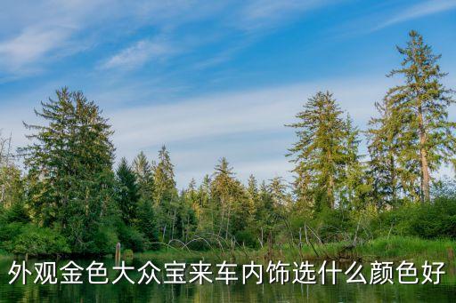 外观金色大众宝来车内饰选什么颜色好