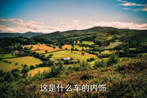 这是什么车的内饰