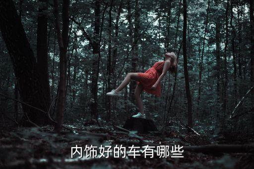 内饰好的车有哪些