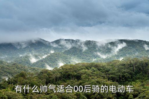 内饰帅气的电动汽车有哪些，帅气的电动车