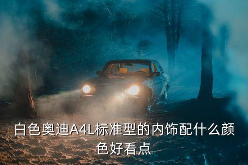 白色奥迪A4L标准型的内饰配什么颜色好看点