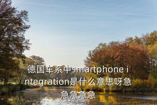 德国车系中smartphone integration是什么意思呀急急急急急