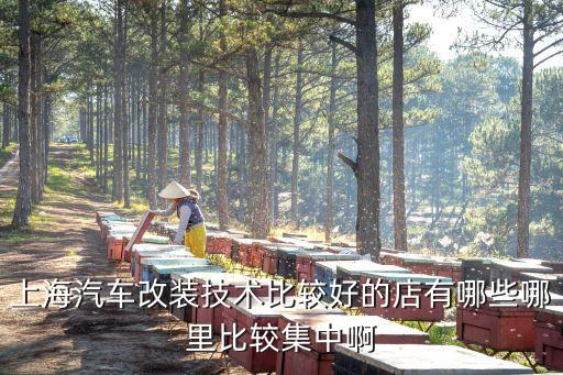 上海汽车改装技术比较好的店有哪些哪里比较集中啊
