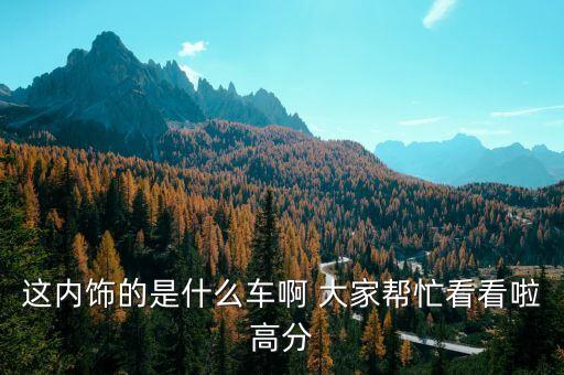 这内饰的是什么车啊 大家帮忙看看啦高分