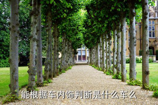 能根据车内饰判断是什么车么
