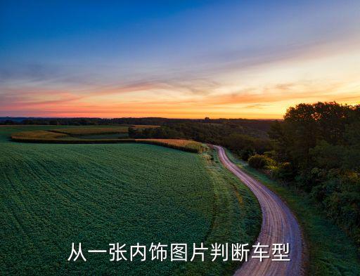 从一张内饰图片判断车型