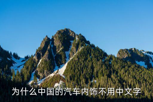 为什么中国的汽车内饰不用中文字