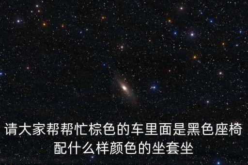 请大家帮帮忙棕色的车里面是黑色座椅配什么样颜色的坐套坐