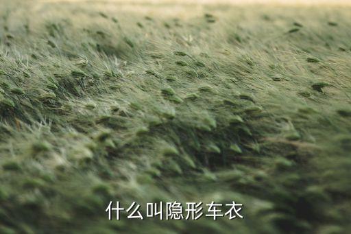 什么叫隐形车衣