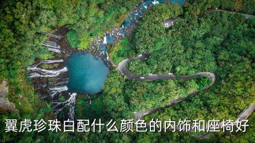 翼虎珍珠白配什么颜色的内饰和座椅好