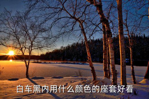 白车黑内用什么颜色的座套好看