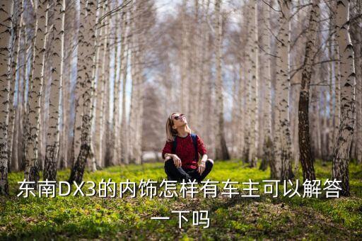 东南DX3的内饰怎样有车主可以解答一下吗