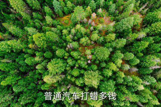 普通汽车打蜡多钱