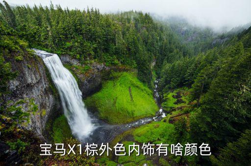 宝马X1棕外色内饰有啥颜色